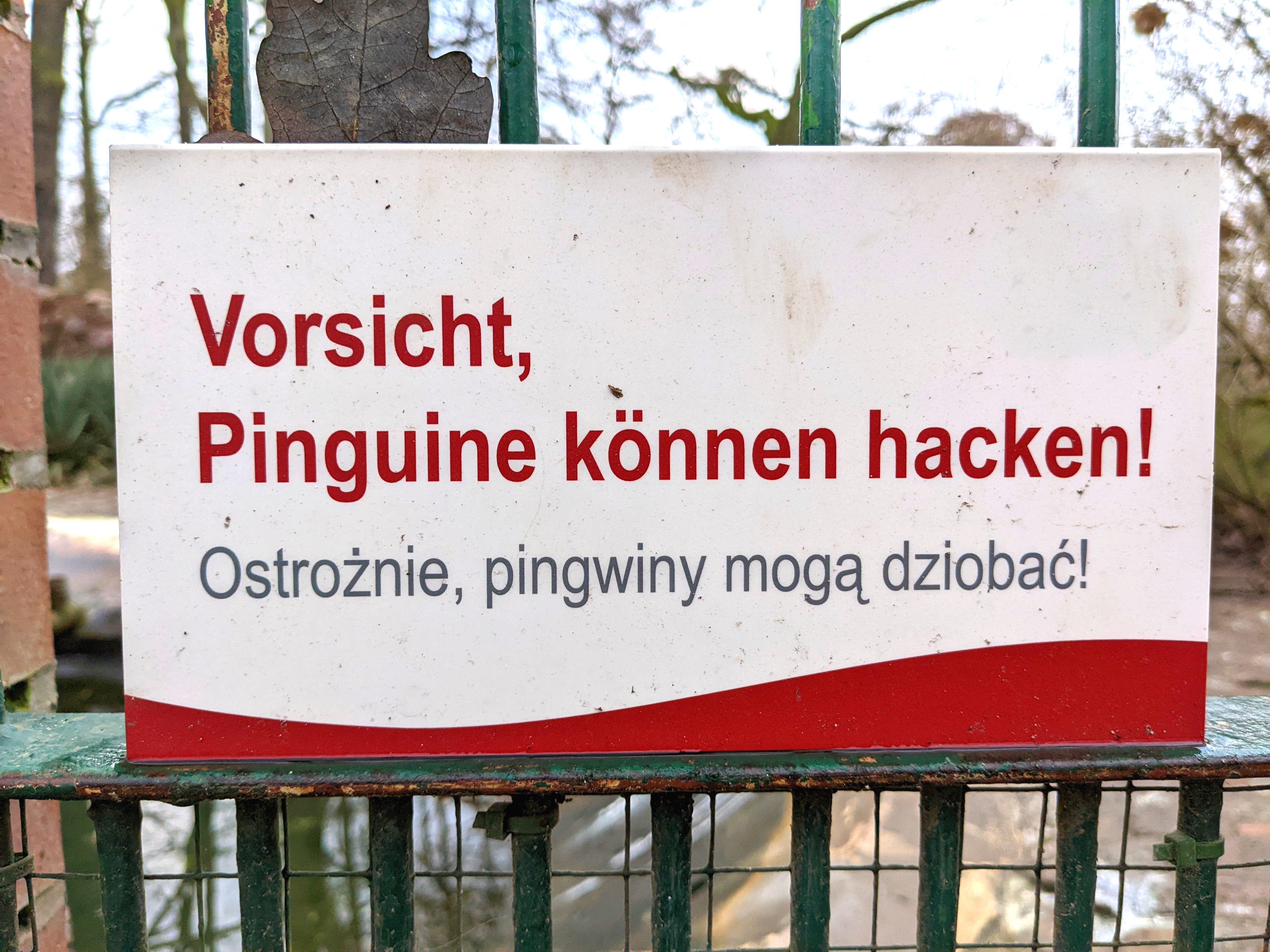 Vorsicht: Pinguine können hacken